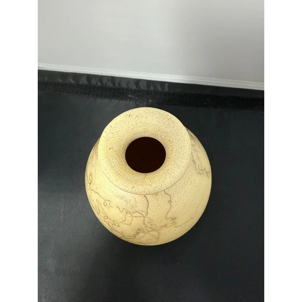 Vintage Horsehair‎ Vase pottery Navajo abstract Handmade Art Turn & Burn 5.5